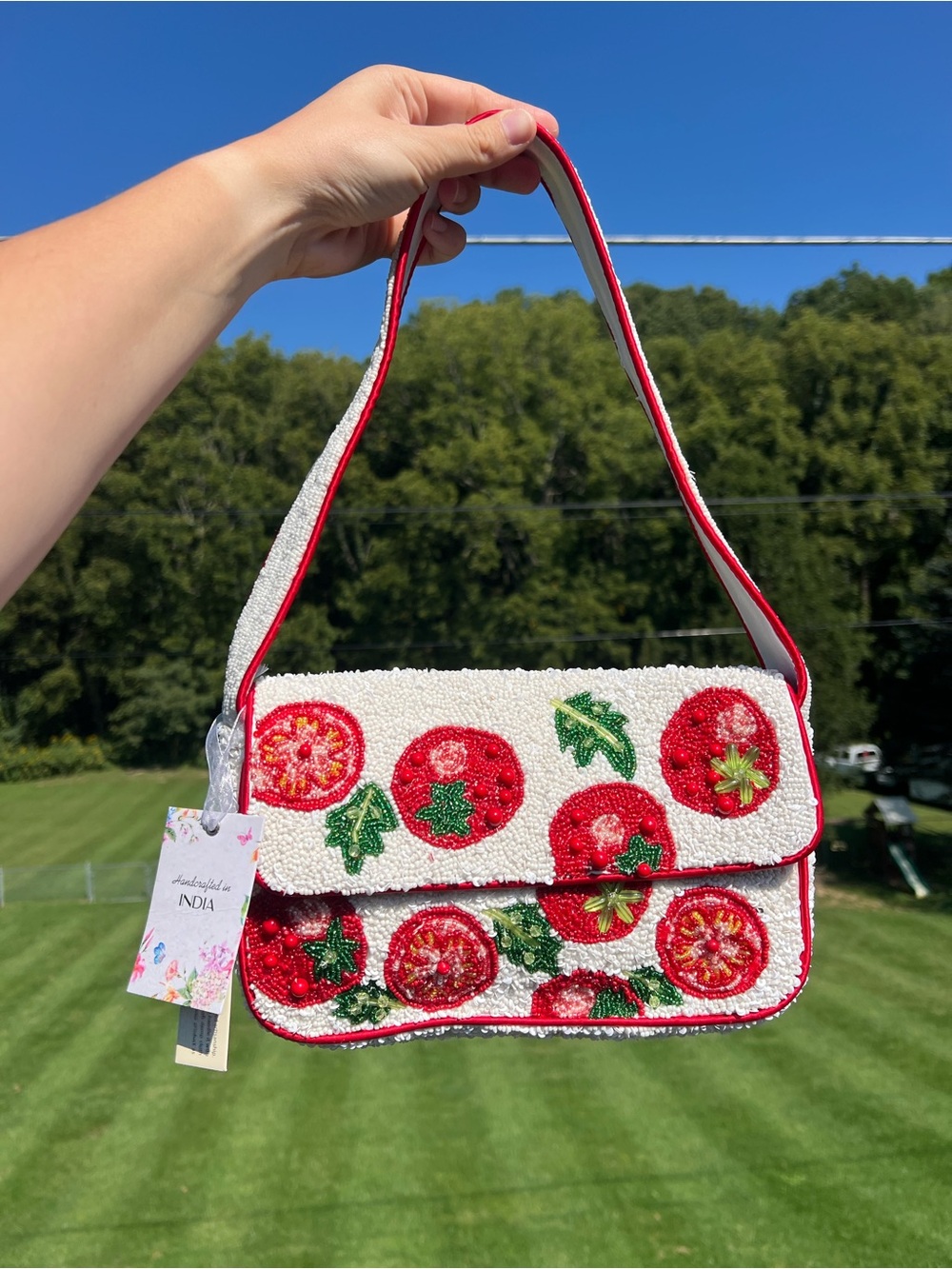 🍅 Handcrafted in India Beaded
Tomato Viral Shoulder Bag NWT